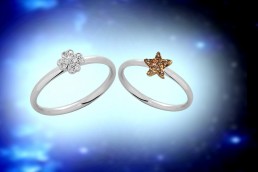 Collezione Stelle e Quadrifogli