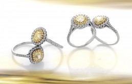 Collezione Fancy